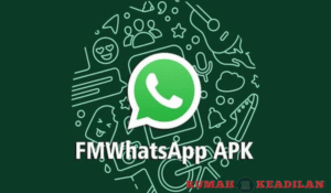FMWhatsApp