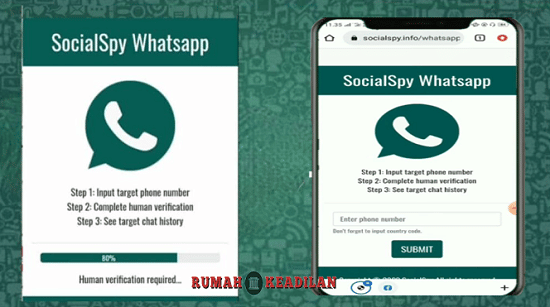 social spy whatsapp