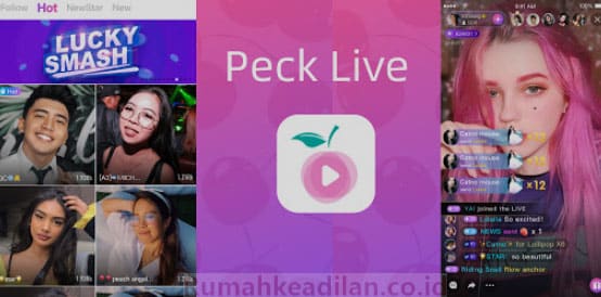peck-live