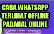 wa-terlihat-offline