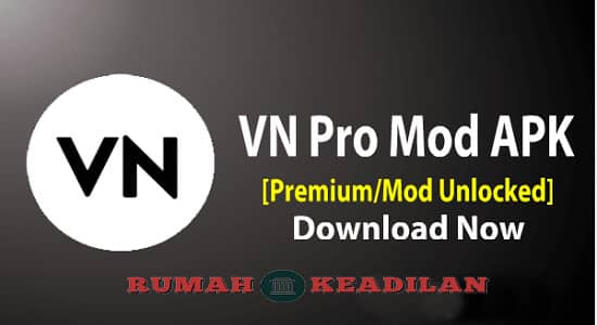 VN Pro Mod Apk